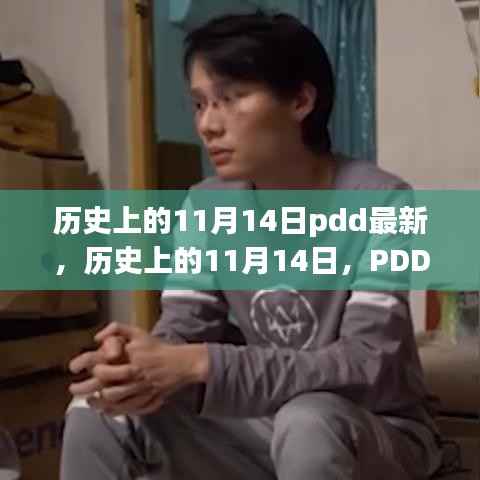 PDD的新篇章,历史上的11月14日揭秘