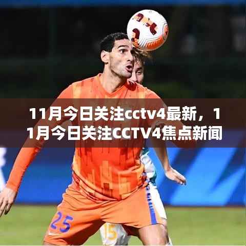 11月焦点新闻解析,CCTV4最新动态与热点关注