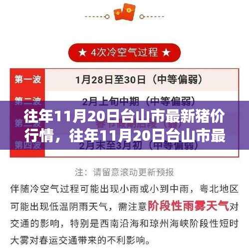 往年11月20日台山市猪价行情深度解析与观点阐述,最新行情分析与解读