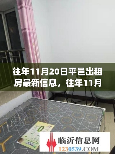 往年11月20日平邑出租房最新信息解析与价值探讨,个人立场与洞察