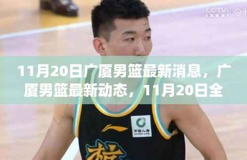 广厦男篮最新动态解读,特性、体验、竞品对比与目标用户群体深度分析(11月20日更新)