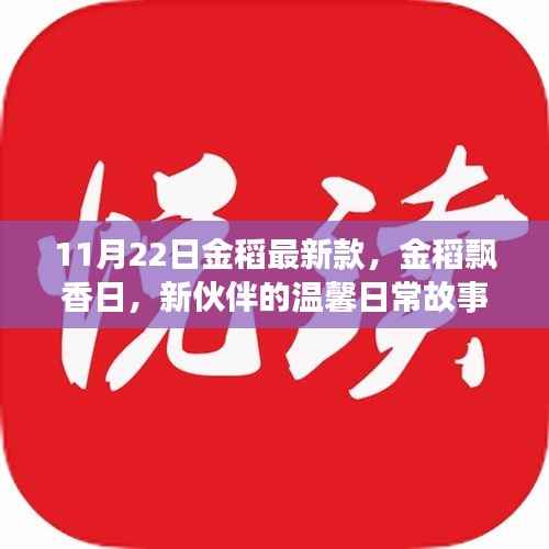 金稻飘香日,新伙伴温馨日常故事,最新款金稻亮相