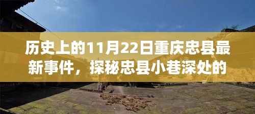 忠县小巷美食盛宴,历史与味蕾的双重体验——11月22日最新事件揭秘