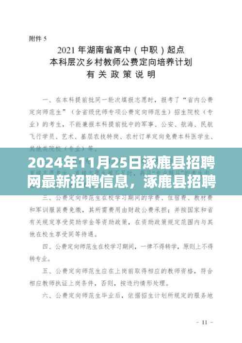 涿鹿县招聘网新篇章,友情与梦想的交汇——最新招聘信息发布(2024年11月25日)