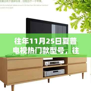 往年11月25日夏普电视热门型号详解,选购指南与挑选技巧全攻略