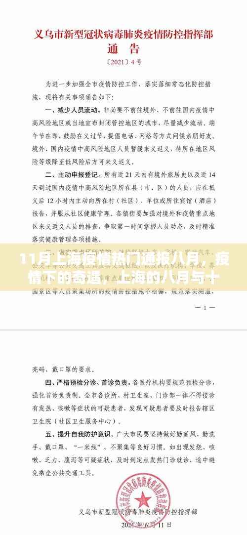 上海疫情八月奇遇与十一月的温情连线,疫情下的温情连线报告
