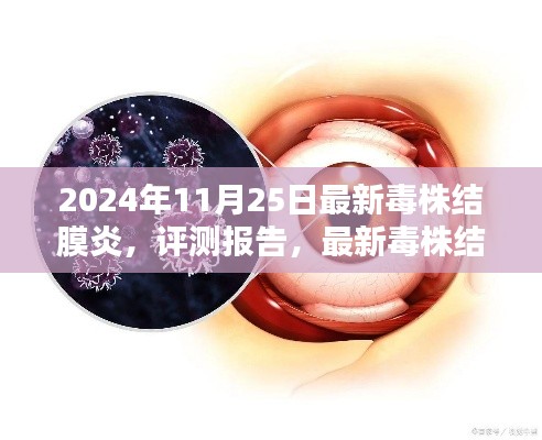 最新毒株结膜炎评测报告与用户体验分析,2024年11月25日最新解读