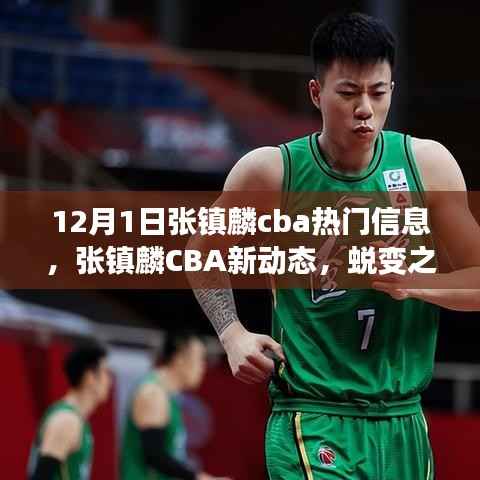 张镇麟CBA蜕变之路,从12月1日启航,新动态展现学习自信之路