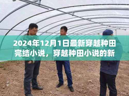 2024年穿越种田小说新篇章,价值与争议探讨