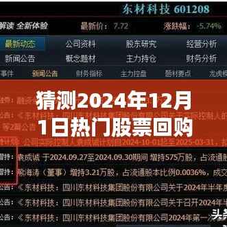 探析,2024年热门股票回购计划的展望与某某观点探析
