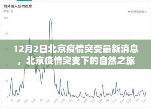 北京疫情突变下的自然之旅,寻找内心的宁静与平和