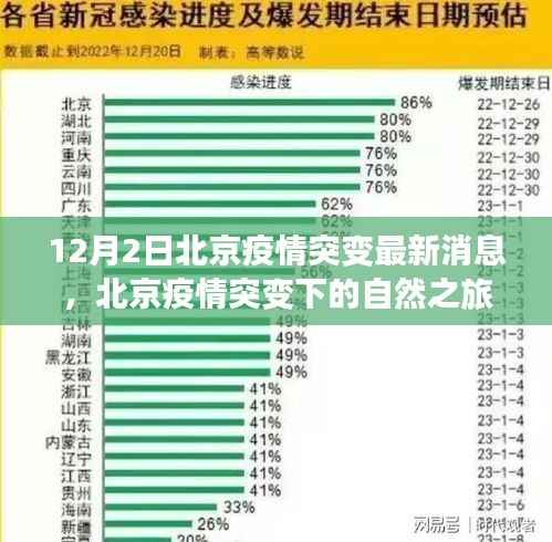 北京疫情突变下的自然之旅,寻找内心的宁静与平和