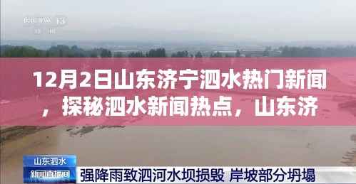 山东济宁泗水地区12月2日新闻热点探秘与最新资讯速递