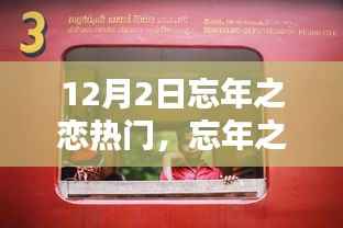 忘年之恋产品深度测评与介绍,12月2日热门之选