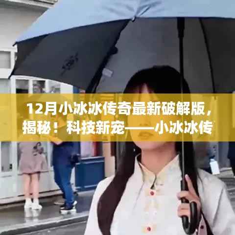 揭秘小冰冰传奇破解版,科技新宠还是违法风险?