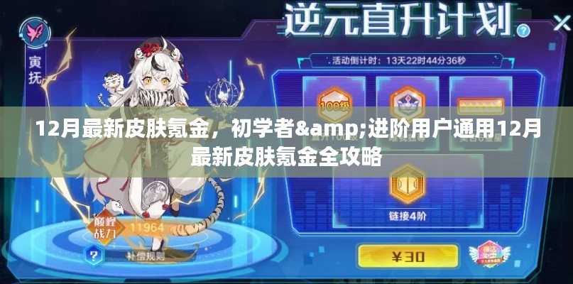 初学者与进阶用户通用,12月最新皮肤氪金全攻略