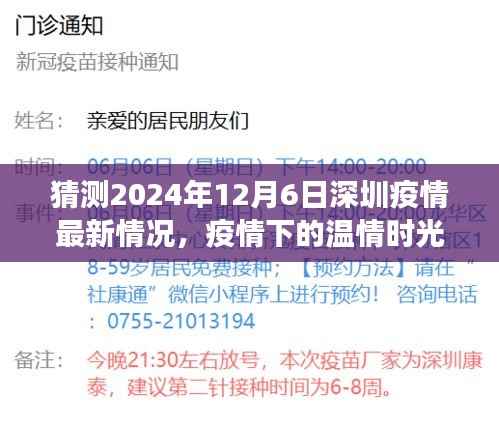 深圳疫情下的温情时光,预测与未来的故事