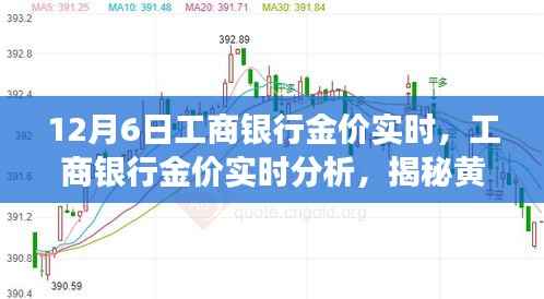 工商银行黄金价格实时解析，揭秘黄金市场动态变化