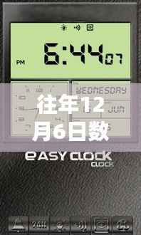 gangqiemuzhang 第13页