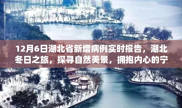 十二月六日湖北省疫情实时报告,探寻自然美景与内心宁静之旅的幕后故事