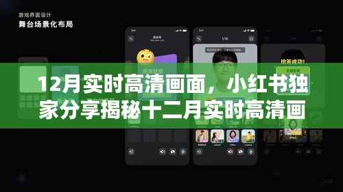 小红书独家分享,十二月实时高清画面揭秘,领略冬日美景的细腻画卷!