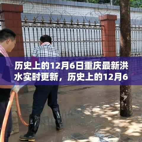 历史上的12月6日重庆洪水实时更新,全面评测与深度介绍