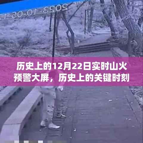 实时山火预警大屏的诞生与发展，历史上的关键时刻回顾