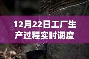 探秘匠心之作，工厂生产过程实时调度表的奇幻之旅（12月22日）