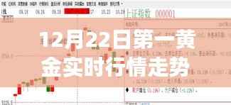 12月22日第一黄金实时行情智能分析器,洞悉黄金走势,科技领航新纪元