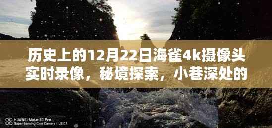 揭秘海雀4K摄像头魔法时刻,秘境探索与小巷深处的特色小店录像纪实