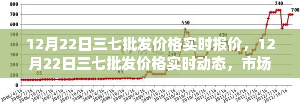 12月22日三七批发价格实时动态与市场走势深度剖析