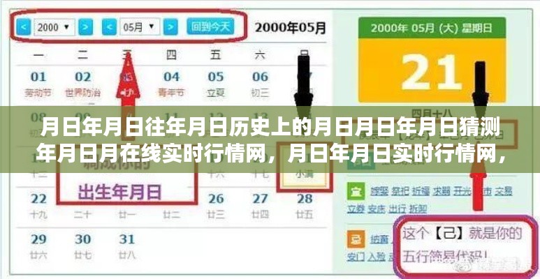 月日年月日实时行情网评测与使用指南，历史行情、实时动态一网打尽