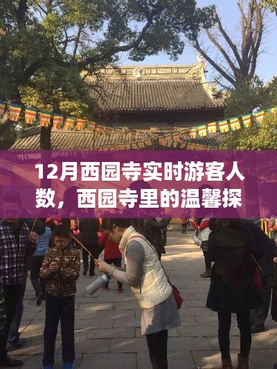 十二月西园寺的温馨探秘与游客故事