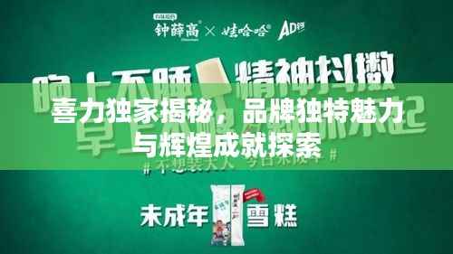 喜力独家揭秘,品牌独特魅力与辉煌成就探索