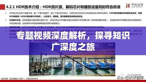 专题视频深度解析,探寻知识广深度之旅