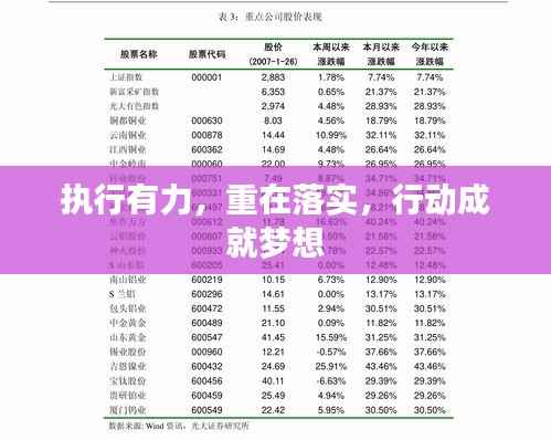 执行有力,重在落实,行动成就梦想