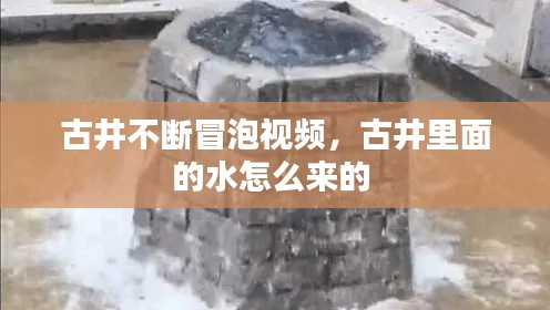 xingjirufei 第12页