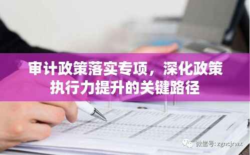 审计政策落实专项,深化政策执行力提升的关键路径