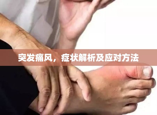 突发痛风,症状解析及应对方法
