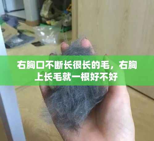 右胸口不断长很长的毛,右胸上长毛就一根好不好