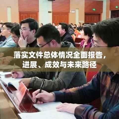 落实文件总体情况全面报告,进展、成效与未来路径