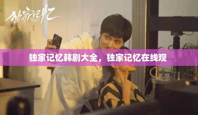 独家记忆韩剧大全，独家记忆在线观 
