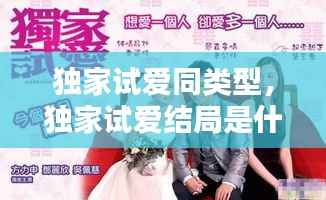 独家试爱同类型,独家试爱结局是什么