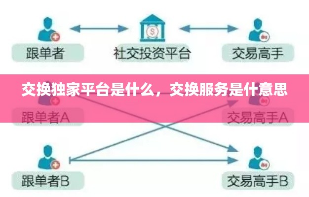 交换独家平台是什么，交换服务是什意思 