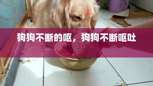 狗狗不断的呕,狗狗不断呕吐