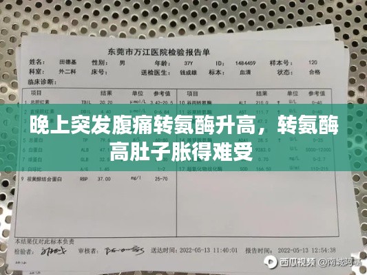 晚上突发腹痛转氨酶升高,转氨酶高肚子胀得难受