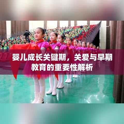 婴儿成长关键期,关爱与早期教育的重要性解析