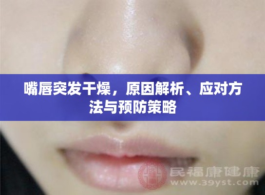 嘴唇突发干燥,原因解析、应对方法与预防策略