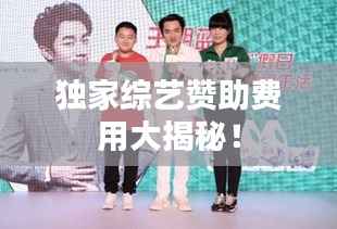 独家综艺赞助费用大揭秘!
