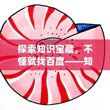 探索知识宝藏,不懂就找百度——知识海洋任你游